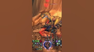 Where to find and tame Riptar! #foryou #worldofwarcraft #hunter #pets #wow