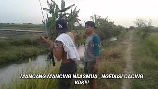 Story WA - Mancing