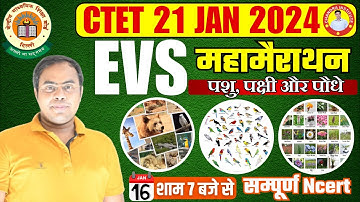 CTET 21 JAN 2024 | CTET EVS Marathon Class | पशु,पक्षि और पौधे | CTET EVS BEST + LIVE CLASS 🔴