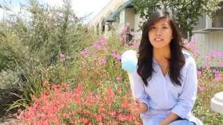 Det 075 Spring 2012 End of Semester Video - HD
