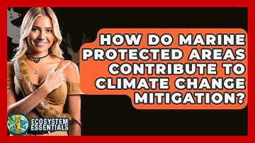 How Do Marine Protected Areas Contribute to Climate Change Mitigation? - Ecosystem Essentials
