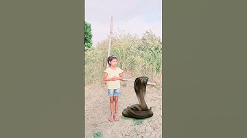 इच्छाधारी नागिन मां और बेटी की कहानी🐍🙏#shorts #youtubeshorts #emotional #snake #nagin #maa#ytshorts