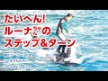 ルーナちゃんのステップ＆ターンは大変そうでした【2023年11月9日】鴨川シーワールドのシャチさんたち