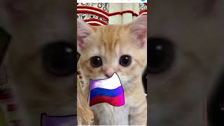 Cat Russia #Bananacat #Funny #Russia @Babytvtr @Babytvturkiye1588