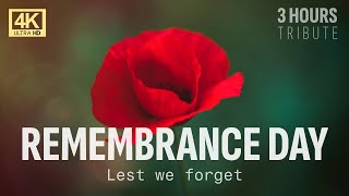 Remembrance Day 2025: Poppy Tribute | Lest We Forget