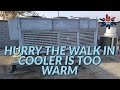 HURRY THE WALK IN COOLER IS TOO WARM