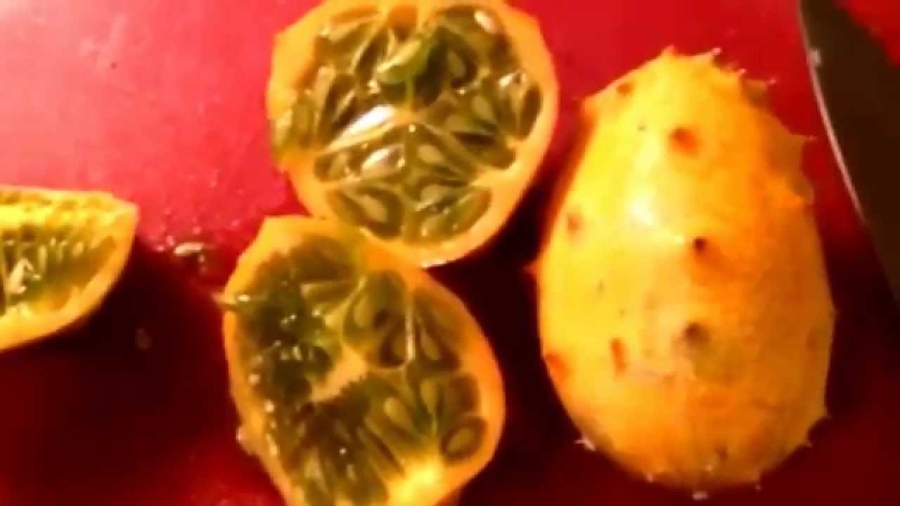 Eating Kiwano African Horned Melon for 1st Time Weighloss Update, Smoothie, Serbet and More