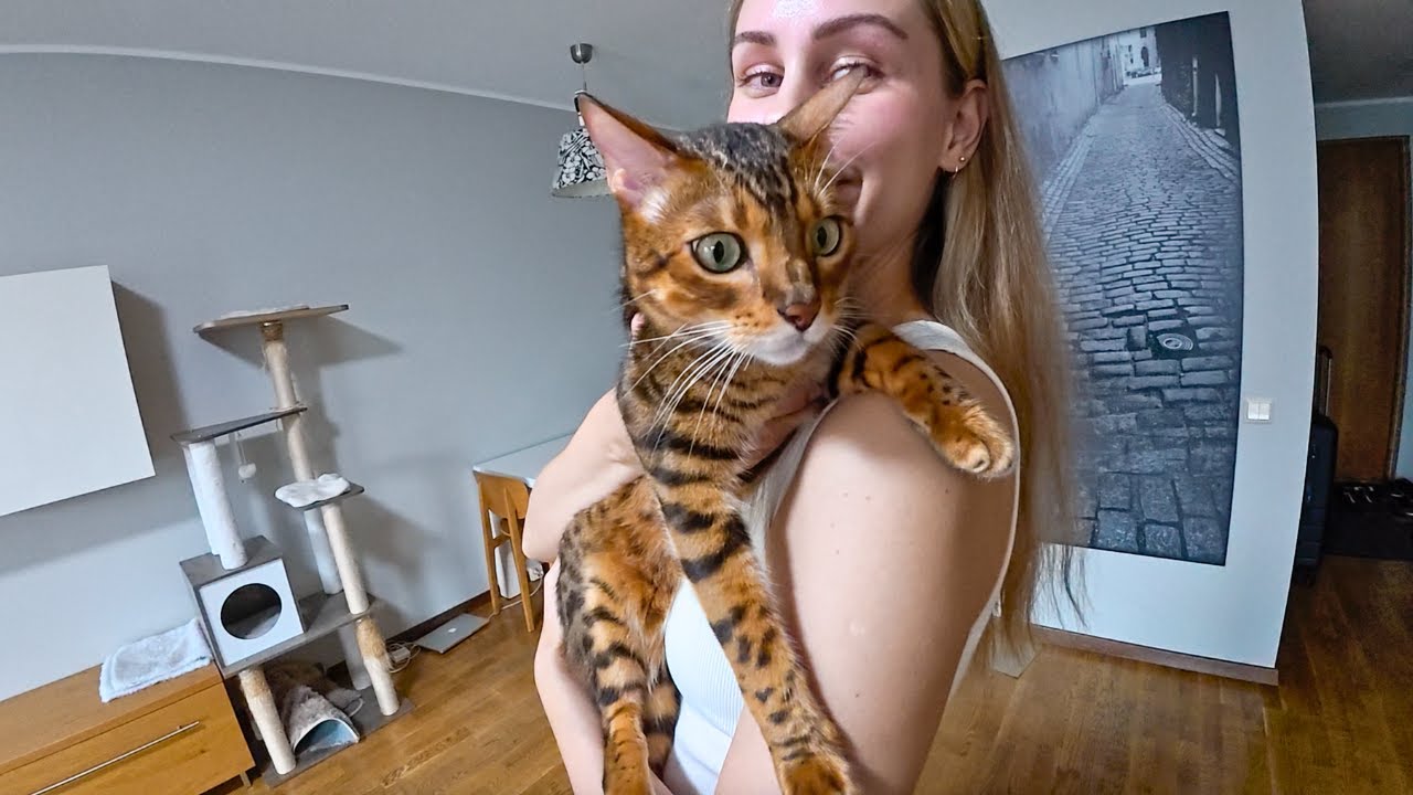 ASÍ NOS RECIBIERON EN ESTONIA 🇪🇪