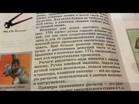 Физика/7 кл/Рычаги в технике, быту и природе/17.07.22