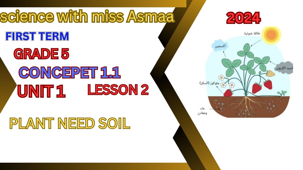 GRADE 5/ SCIENCE/ CONCEPT1.1/LESSON2/PLANT NEED SOIL/ساينس سنه خامسه