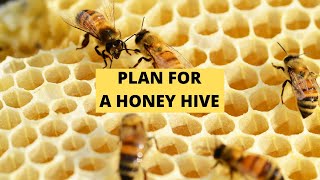 Honey Hive Plan | Beginner Beekeeper Episode 15