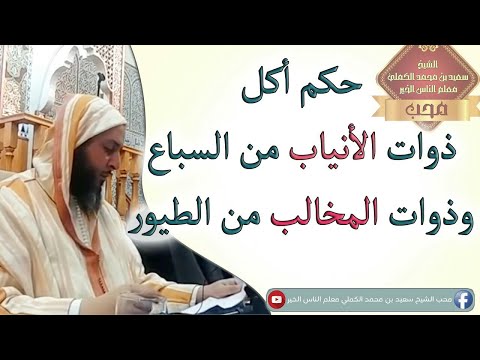 حكم أكل ذوات الأنياب من السباع وذوات المخالب من الطيور الشيخ سعيد الكملي