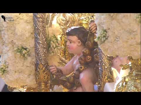 Real, Ilustre y Fervorosa Hermandad Sacramental de la Pura y Limpia Concepción de la Santísima Virgen María, Ánimas Benditas del Purgatorio y Cofradía de Nazarenos del Santísimo Cristo de la Salud, María Santísima del Refugio, Santa Cruz, Nuestra Señora del Patrocinio, Santa Bárbara y San Bernardo