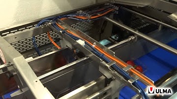 Strawberries in tray packaging in a double line TSA 680 traysealer