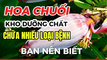 Hoa chuối{ bắp chuối }công dụng chữa bệnh,kho canxi,chất xơ,đồng, sắt#monanbaithuoc