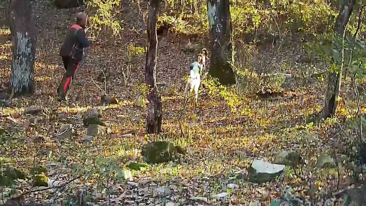 BECCACCIA con NENCINI'S FRANK & DAKAR 🦃🐶😍