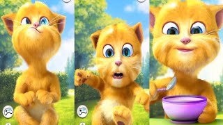 my taking ginger 🐈🐈🐈‍⬛😹😻😸😾😾😼😿😽🙀🐈🐈‍⬛🐈🐈 funny ginger #ginger #android #youtube