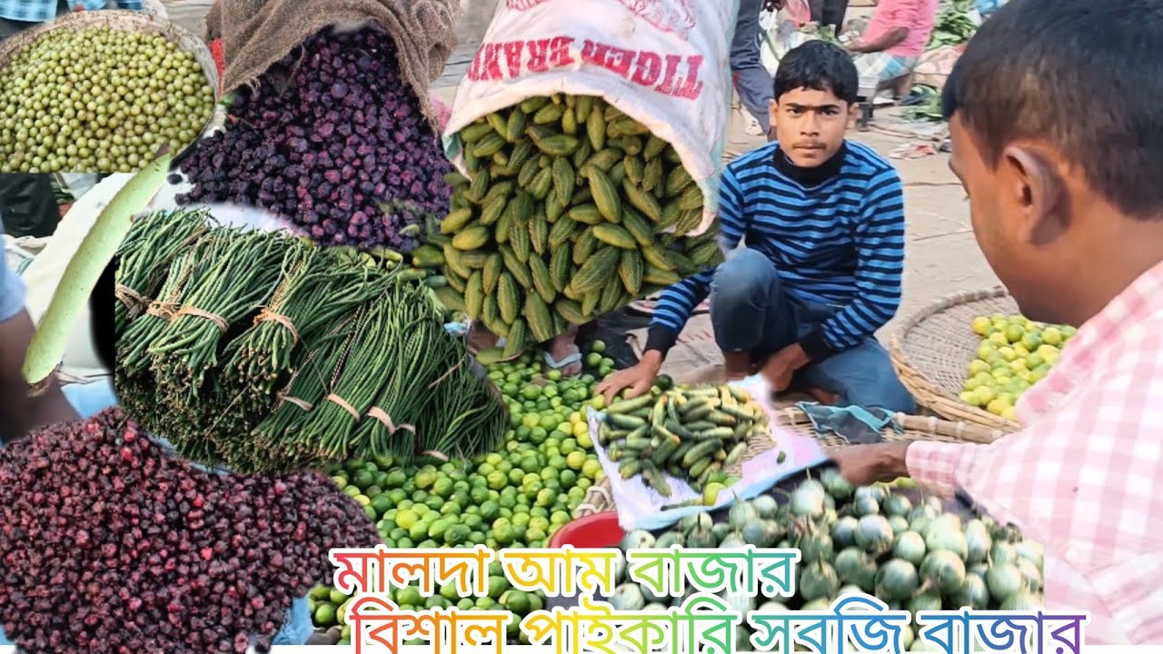 মালদা আম বাজার বিশাল পাইকারি সবজি বাজার | Malda aam bazar | মালদহের সবচেয়ে বড় পাইকারি সবজির বাজার