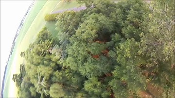 first flights of 2020 edit with the tbs source one and the emax eco 2306/fpv freestyle