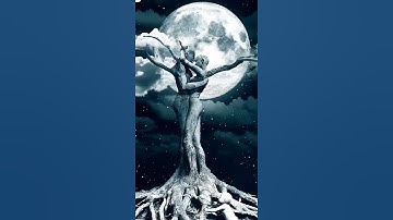 Write Title in Description About This Video Video ScreenCast Your Queries Video Hashtags #shorts