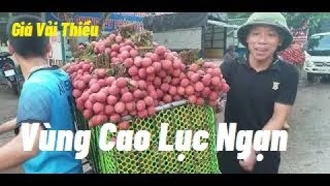 Giá Vải Thiều Lục Ngạn Vùng Cao Lần Đầu Tiên Thăm Chợ  l Núi Đồi Lục Ngạn