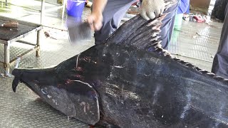 600lb Giant Blue Marlin fish cutting skill -巨型旗魚切割刀法技巧!