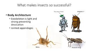 Introduction to Entomology screenshot 3