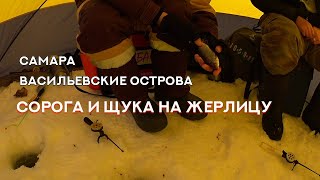 Самара, Васильевские острова - сорога на мотыля и щука на жерлицу