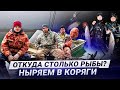 ОГРООМНЫЕ косяки рыбы! Опасная подводная охота в корягах!