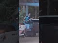 Country Jams at the campground