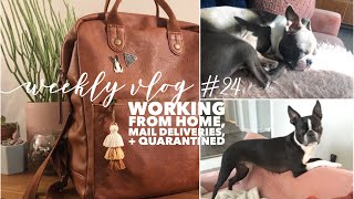 WORKING FROM HOME. Mail Delivery. What We are Watching. | Weekly Vlog #24 (March 15 - 21, 2020)