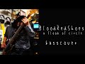 Blood Red Shoes / a flood of circle 【ベース弾いてみた】【basscover】