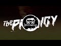 The Prodigy - Poison (8 Bit Remix)