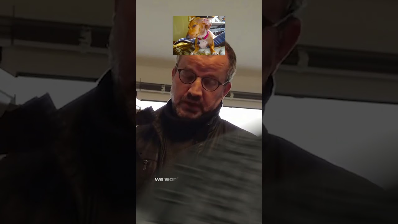 How to Install the Magnetic Ducting Flange | Secret Jardin Essentials