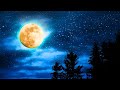 Deep Sleep Music, Sleep Meditation, Relaxing Music, Lucid Dreams, Study Music, Sleep Music, ☯2026