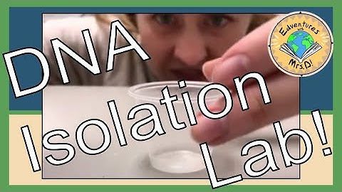 How To Extract DNA from Cheek Cells: Science Lab Experiment