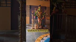 VARAHI AMMAN #VARAHI #dailyshorts #temple #god #fyp