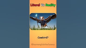 Literal Vs Reality English Compound Words | 024