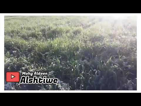 اقعدلك على الدرب قعود تراث