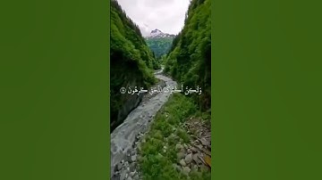 تلاوه تريح القلب بصوت الشيخ ياسر الدوسري#قران_كريم #قرآن #ياسر_الدوسري #راحة_نفسية #quran #شورتس
