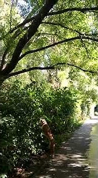 youtube.com
