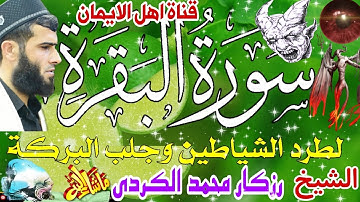 سورة البقرة كاملة مكررة لطرد الشياطين والجن والسحر والحسد وعين الشيخ رزكار محمدالكردي surat albaqara