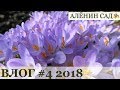 Влог #4 ОЧЕНЬ много интересного! / Посев зелени / Пересадка перца / Переделка теплицы закончена!