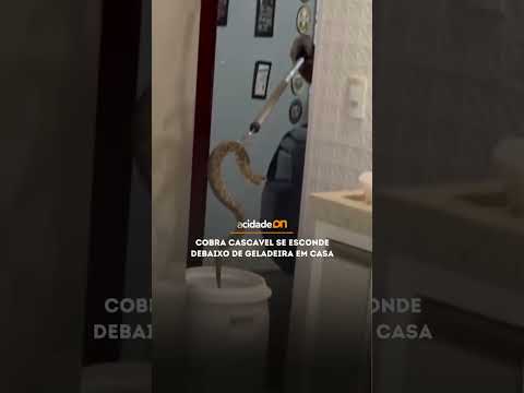 Video VISITA INESPERADA NA COZINHA!