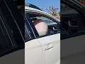 Airbag open  driver side