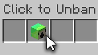 I was Unbanned on the LifeSteal SMP...