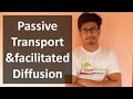 Passive transport | membrane transport lecture