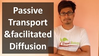 Passive transport | membrane transport lecture