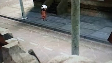 Good hide and seek funny moments _ low budget edition (Garrys mod)