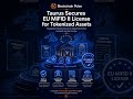 Tokenized Assets Under MiFID II